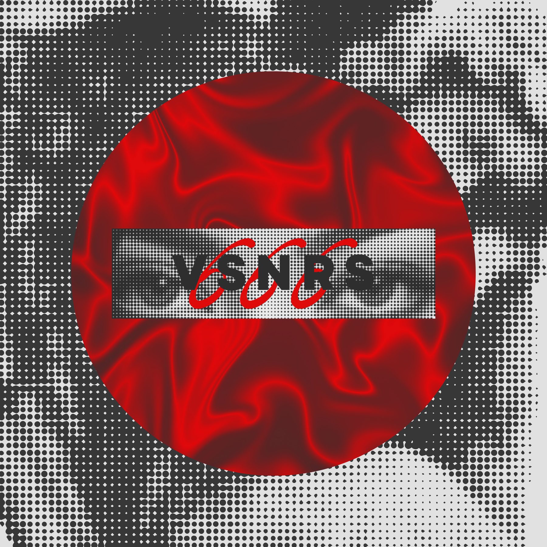 VSNRS_666 — emblem